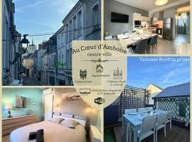Au Coeur d'Amboise - Terrasse privée/climatisation