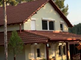 Villa Bigla Lux, Hotel in Bojčoska Maala
