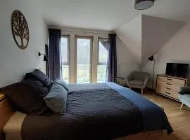 Haus Moselliebe Dz 24 m²