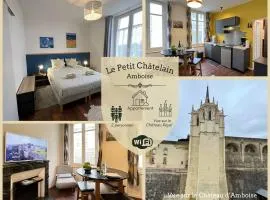 T2 Amboise avec vue sur le Château Royal