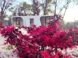EloA Glamping