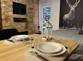 Studio Chalet des Pistes, Hotel in Gérardmer