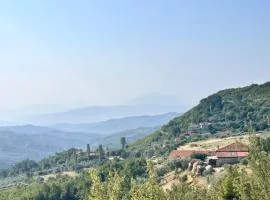 Bodini Mountain House