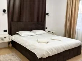 Borșa ApartHotel 5