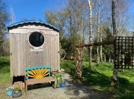 Sapphire forest garden shepherd’s hut