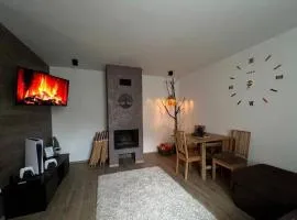 Приватна садиба Forest House