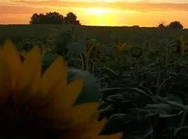 rêve d'escapade