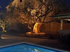 Apartment olive tree garden&poll view 4 plus 2, 130 m2 with tiki bar