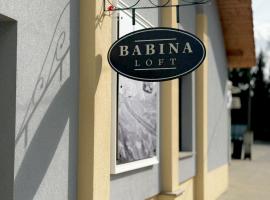 Babina Loft – hotel w mieście Łęknica