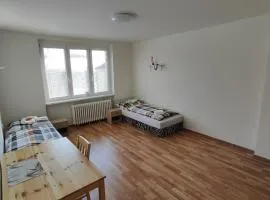 Apartmán pro 4 osoby, Habartov H2