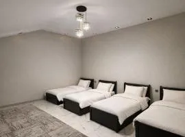 Rich House - премиум Вилла в Ташкенте