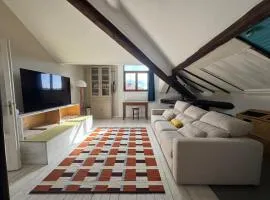 Big bright Attic-Milan Navigli