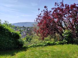 Unter dem Blauregen, Hotel in Therwil