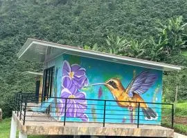 Cabañas Agroturistica la Polkca - Experiencia Cafetera