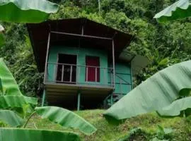 Rioverde Jungle Ecolodge