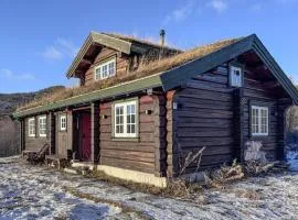 Awesome Home In Ustaoset With House A Mountain View