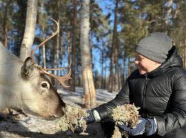 Skabram Camping & Stugby, Hotel in Jokkmokk