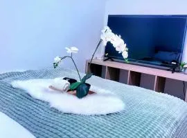 Cozy Room 2 Private Entry Near Airport UofC SAIT Free Parking