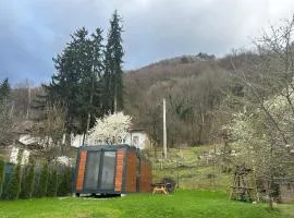 Tiny Cozia Caciulata