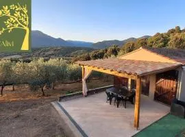 "A Casa di l’Alivi" – T3 Oliveraie | by Efficios