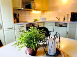 Ferienhaus am Erzgebirgskamm