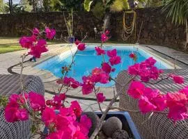 Studio tout confort avec piscine pour les amoureux des toutous