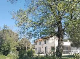 Ancienne Gare Camargue