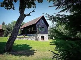 Šajnska Hiža, autentična goranska kuća u prirodi