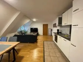 Moderne und neu ausgestatte Gästewohnung im Zentrum Merseburgs