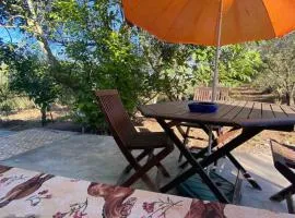 The Cottage Guest House