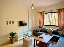 Modern Apartment 9 Min from Airport & Secure