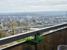 l'écrin urbain