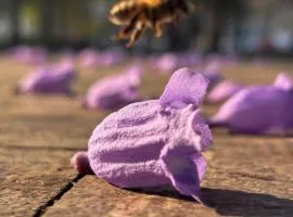 Fiesta Americana Reforma