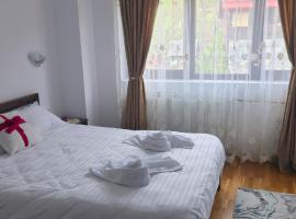 Pensiunea Rozalina, Hotel in Rozavlea