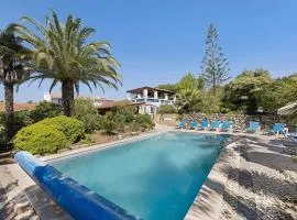 Quinta das Achadas - Mimosa