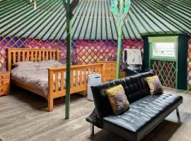 Green Yurt - Uk48019