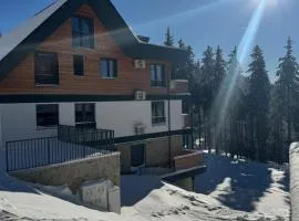 Apartment Moné - Kope