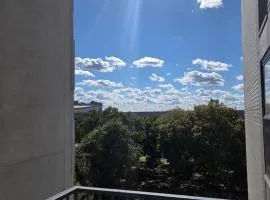 Convenient Downtown Apartment