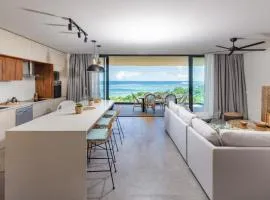 Panoramic View Mauritius
