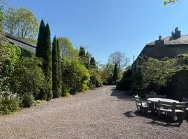 The Courtyard Mallow