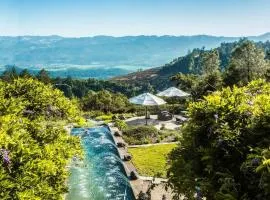 Napa Valley Vineyard View Estate