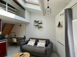 Charmant Duplex en Centre-ville Proche du Puy-du-fouu