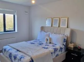 Cosy Nature View Room