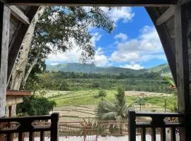 Rice Field and Mountain View House