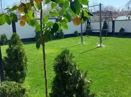 Dennis Guesthouse Cahul