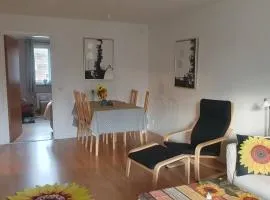 Sunflower Apartment 88 m2 Hyltebruk, Sweden