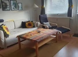 Sunflower Apartment 88 m2 Hyltebruk, Sweden