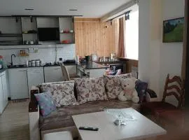 3bad 2 bath a cozy and warm apartment in Vanadzor