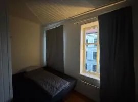 1 room in central grunnerløkka OSLO