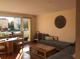 Appart zen à 15min de Strasbourg